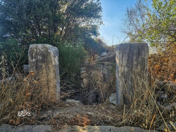  | موسوعة القرى الفلسطينية