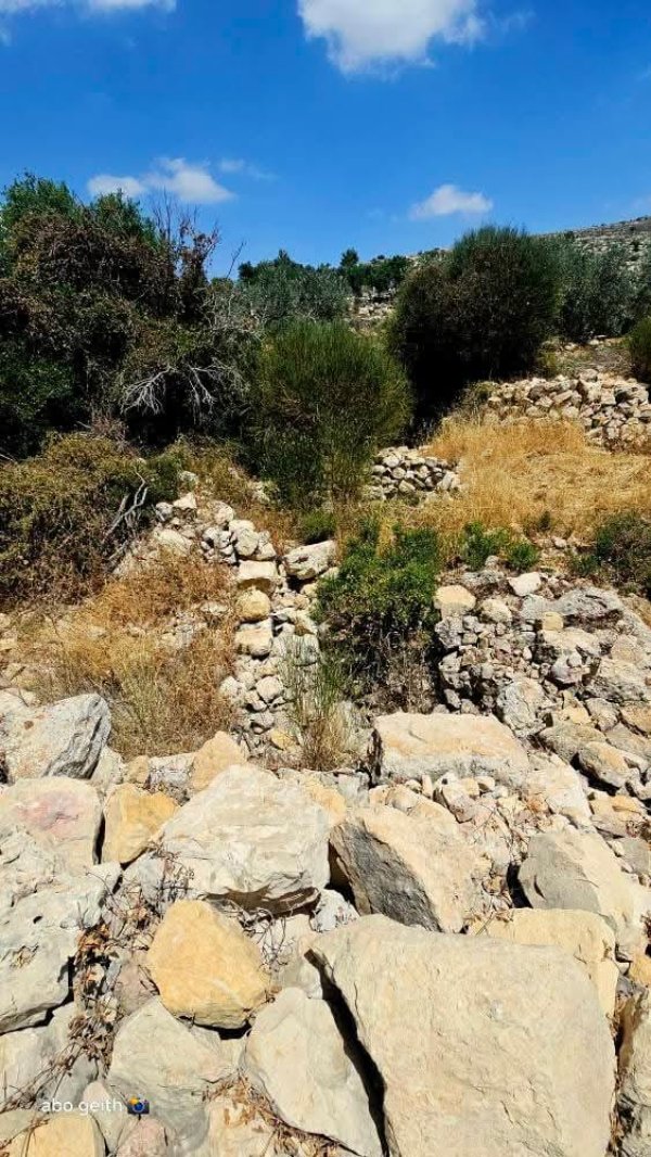  | موسوعة القرى الفلسطينية