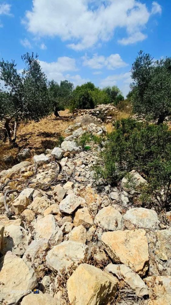  | موسوعة القرى الفلسطينية