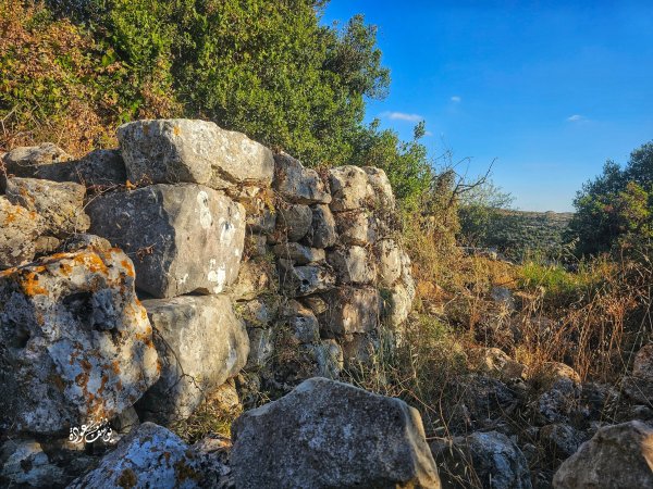  | موسوعة القرى الفلسطينية