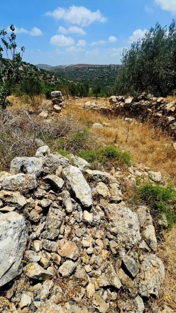  | موسوعة القرى الفلسطينية