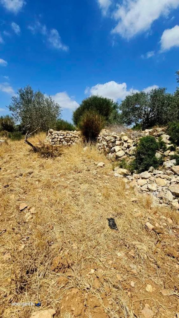  | موسوعة القرى الفلسطينية