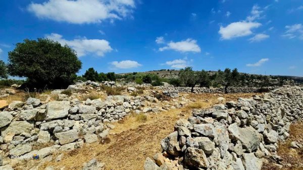  | موسوعة القرى الفلسطينية