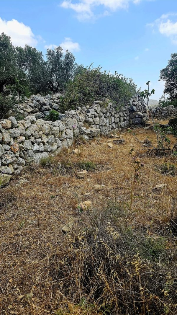  | موسوعة القرى الفلسطينية