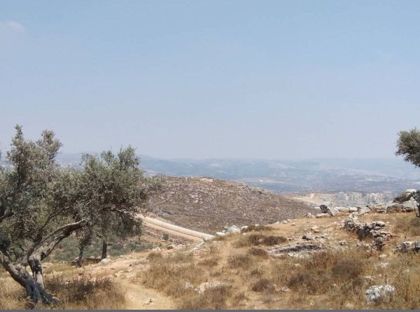  | موسوعة القرى الفلسطينية