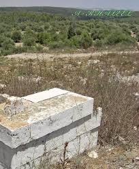 مجزرة جمزو  | موسوعة القرى الفلسطينية