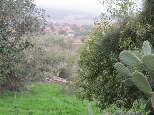  | موسوعة القرى الفلسطينية