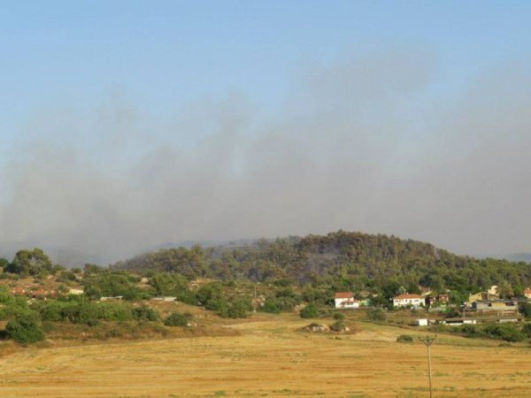  | موسوعة القرى الفلسطينية