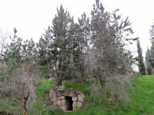  | موسوعة القرى الفلسطينية