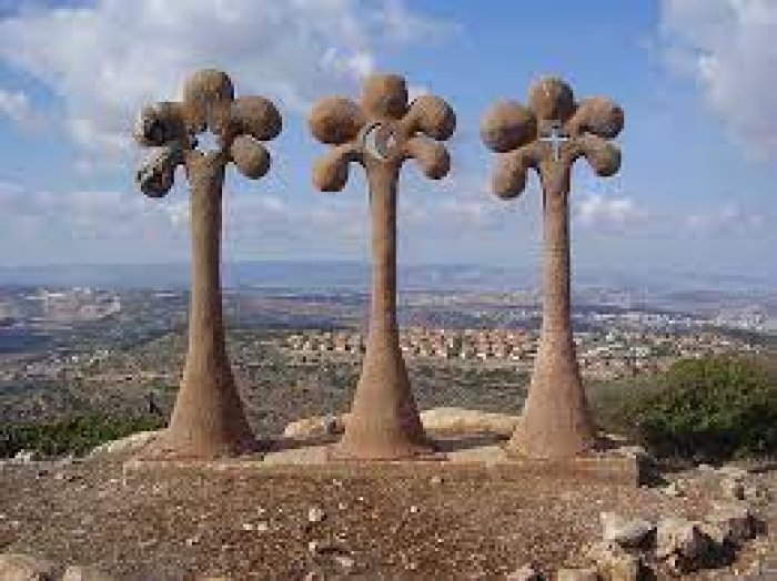 قرية الدوايمة الحلم الفلسطيني بين العطاء التنموي والتشبث بحق العودة  | موسوعة القرى الفلسطينية