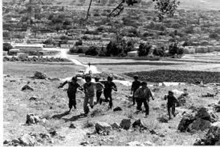 عشيرة عرب السمنيّة