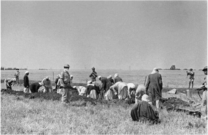 مجزرة الطنطورة.. شاهد على جوهر الفكر الصهيوني الإجرامي