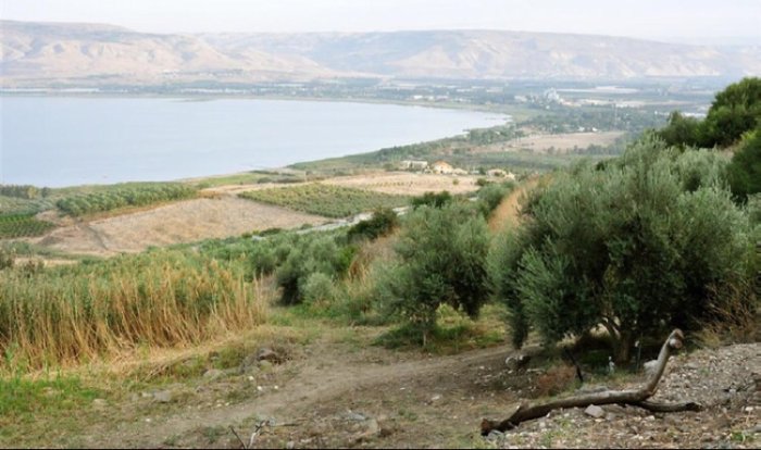 المنارة /عرب المنارة  | موسوعة القرى الفلسطينية