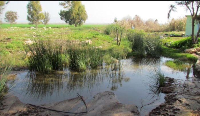 الغُبَيَة التَحْتَا / قرى الروحة  | موسوعة القرى الفلسطينية