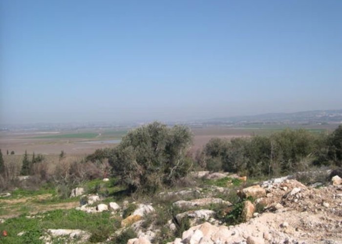 النَغْنَغِيَّة/ قرى الروحة  | موسوعة القرى الفلسطينية