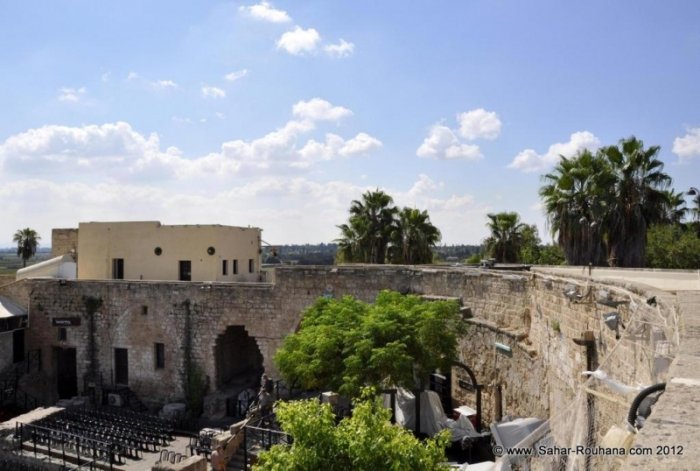 الشُوّنَة / قرى الروحة  | موسوعة القرى الفلسطينية