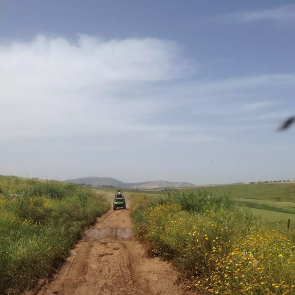 أراضي القرية