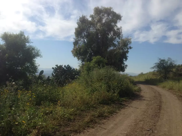 أراضي القرية