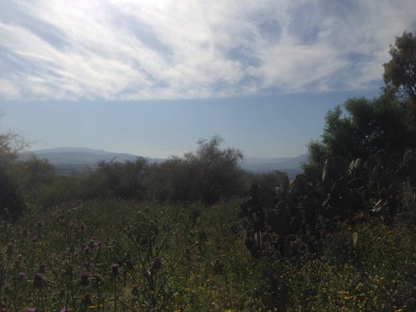 أراضي القرية