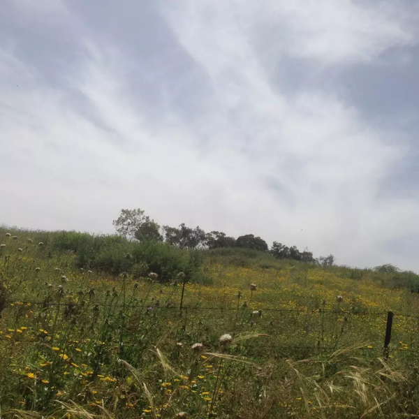 أراضي القرية