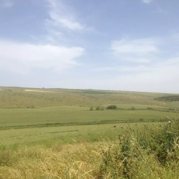 أراضي القرية