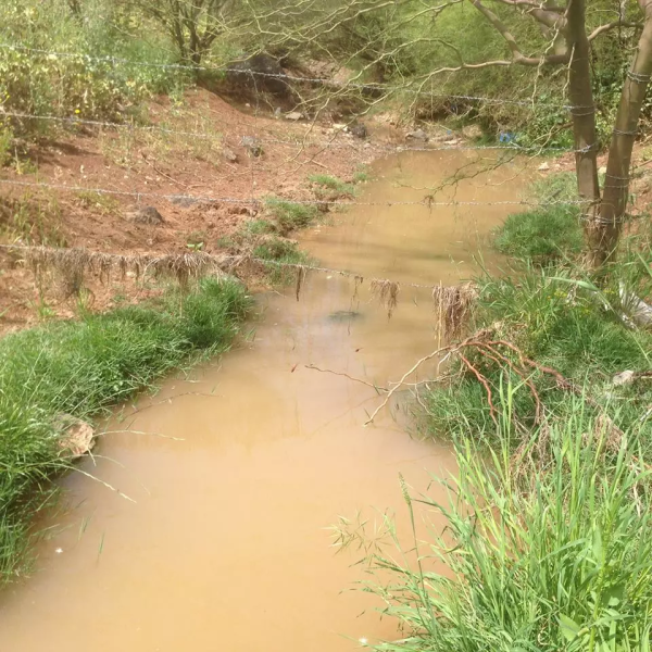 أراضي القرية