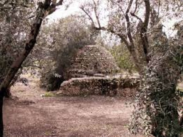 أراضي القرية