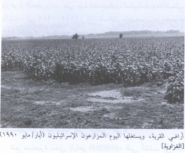  | موسوعة القرى الفلسطينية