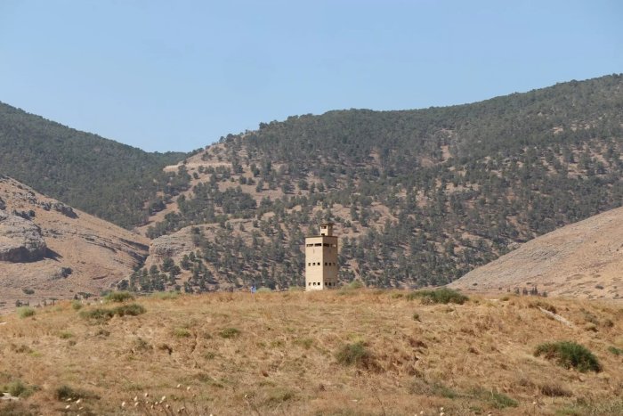 تَلْ الشَوك