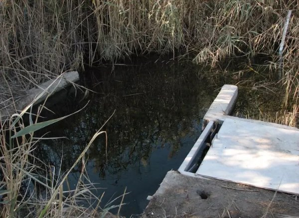 الماء في القرية