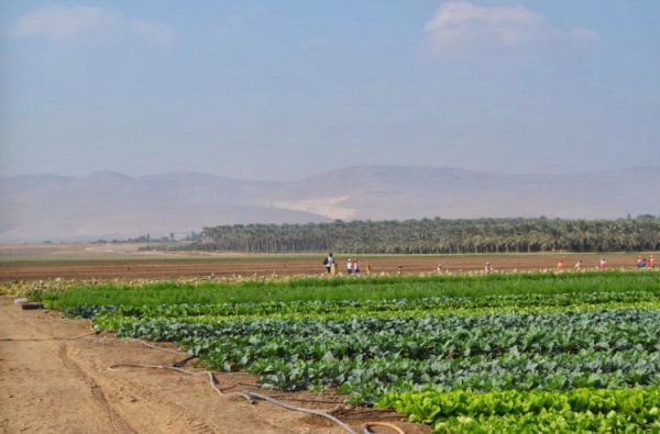 أراضي القرية