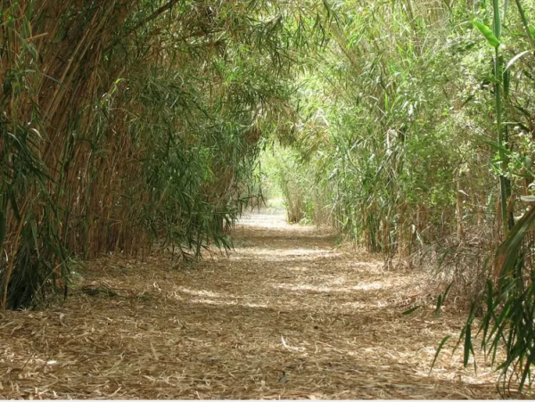 أراضي القرية