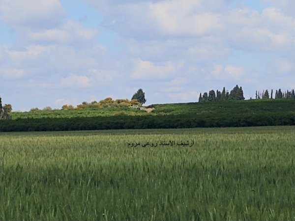  | موسوعة القرى الفلسطينية