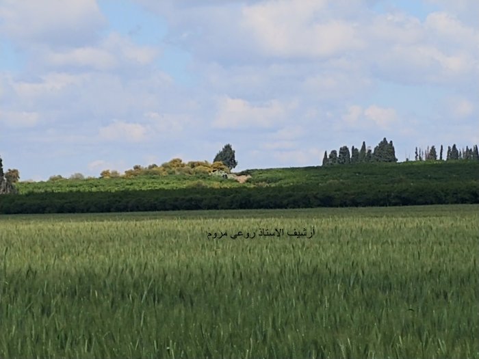 خربة زلفة  | موسوعة القرى الفلسطينية