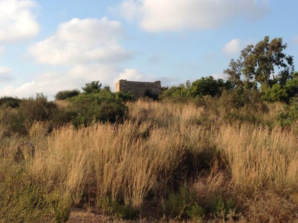  | موسوعة القرى الفلسطينية