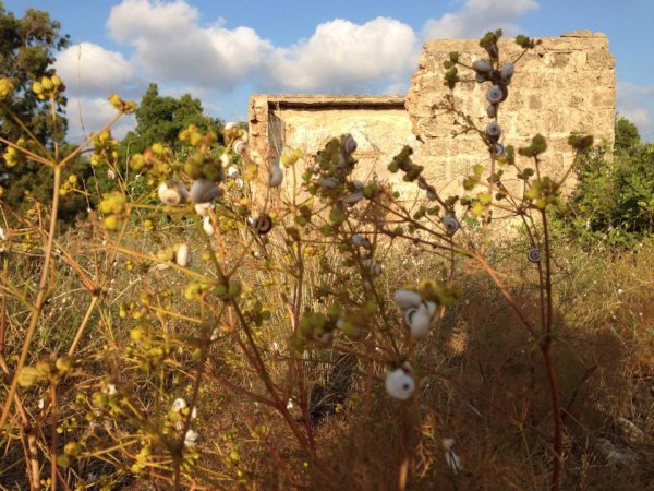  | موسوعة القرى الفلسطينية