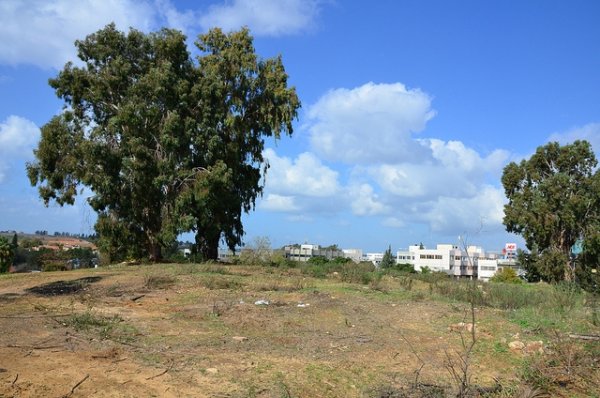  | موسوعة القرى الفلسطينية