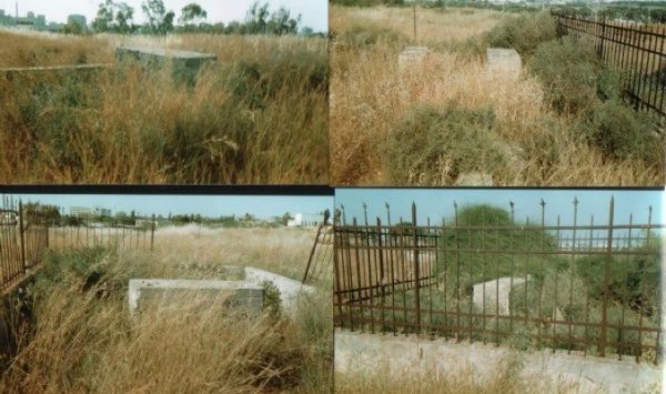 صور حديثة لحقول من قرية الشيخ مونس