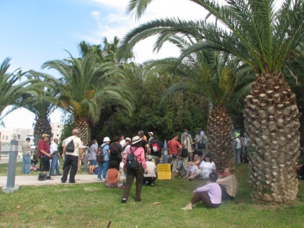 من أراضي قرية الشيخ كونس