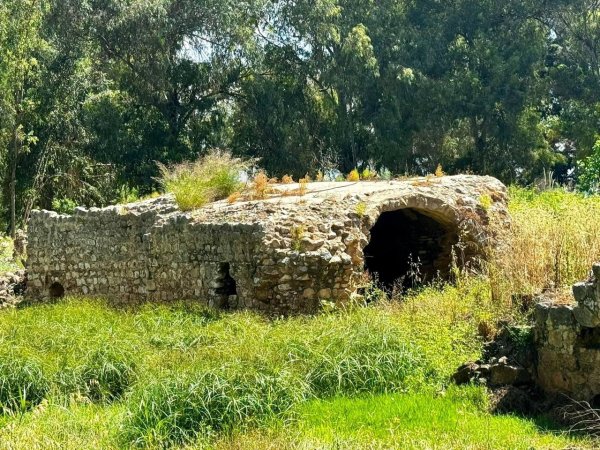  | موسوعة القرى الفلسطينية