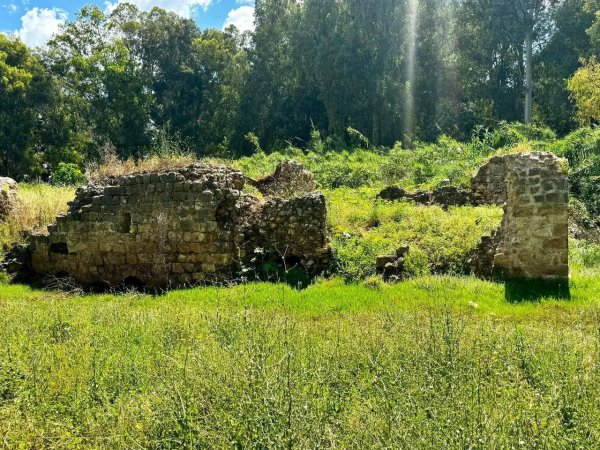  | موسوعة القرى الفلسطينية