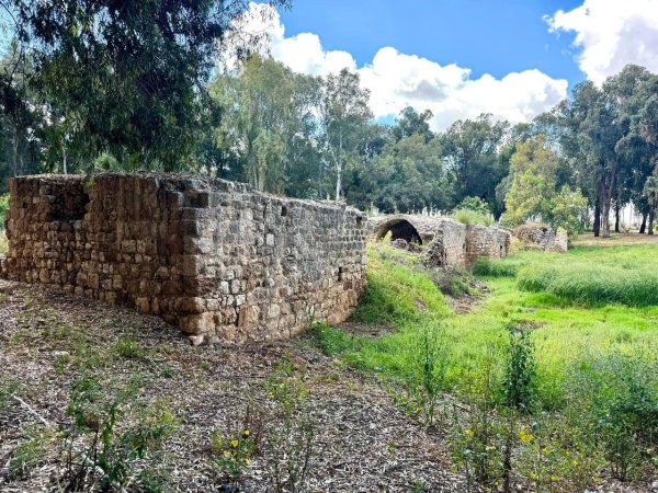  | موسوعة القرى الفلسطينية