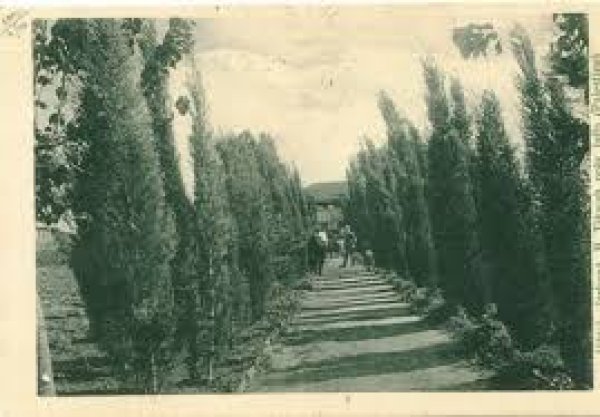  | موسوعة القرى الفلسطينية