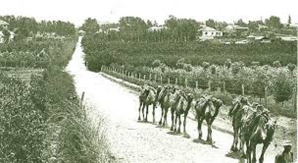  | موسوعة القرى الفلسطينية