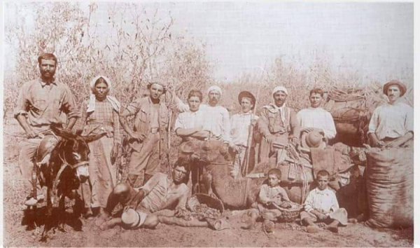  | موسوعة القرى الفلسطينية