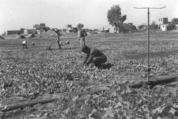 صور لمستوطنين يتجولون في قرية رنتيه بعد احتلالها وطرد أصحابها منها، الصورة تعود لعام 1949