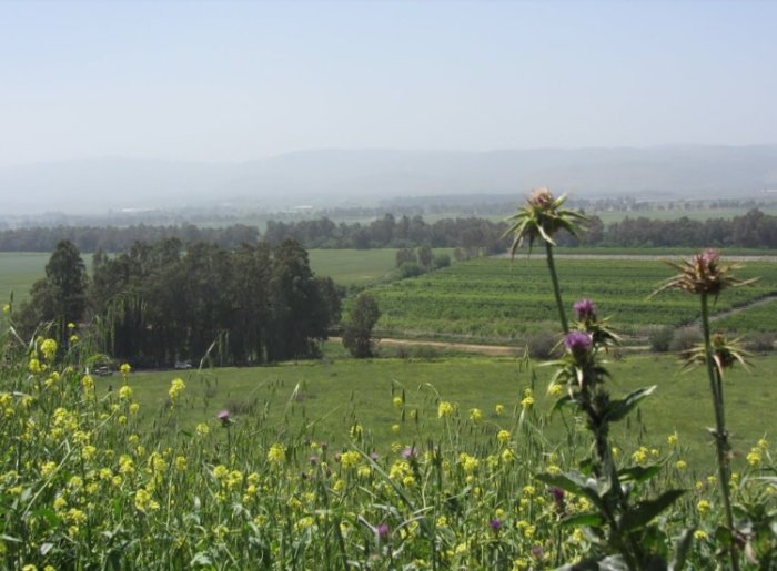 الدَّرْبَاشِيّة  | موسوعة القرى الفلسطينية