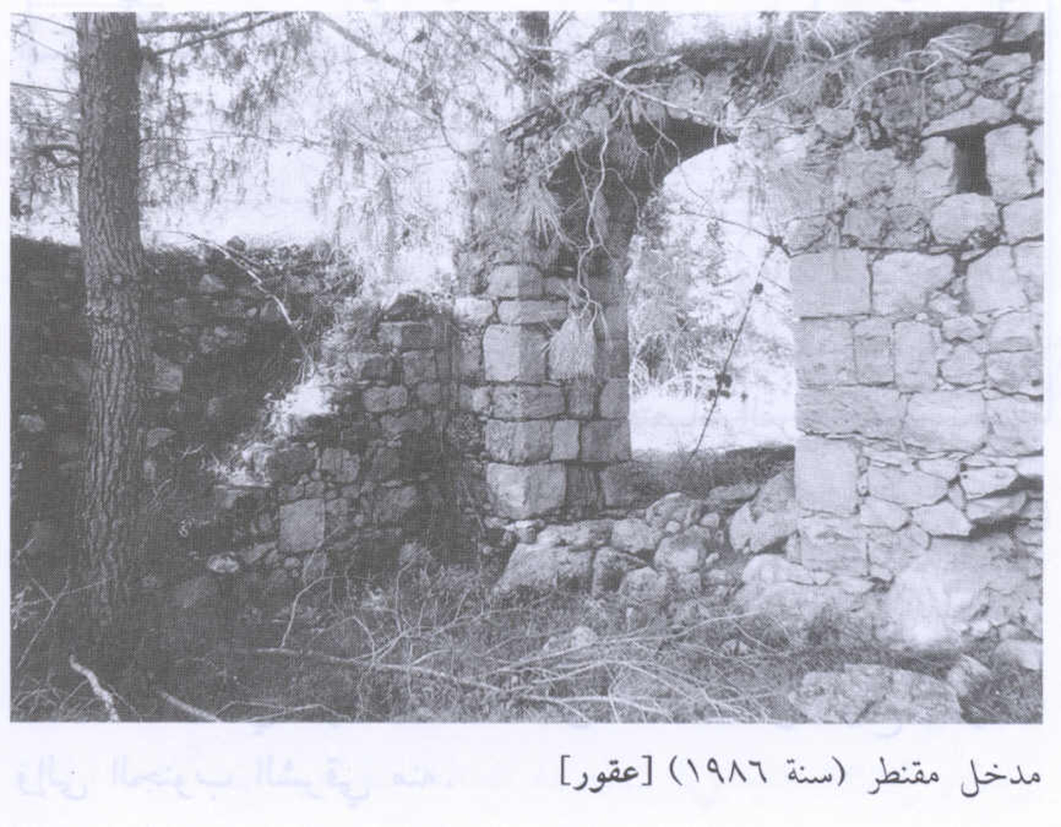 عقور / من قرى عرقوب  | موسوعة القرى الفلسطينية