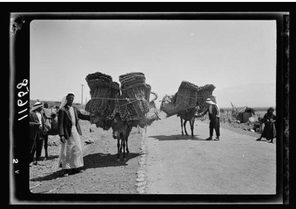  | موسوعة القرى الفلسطينية