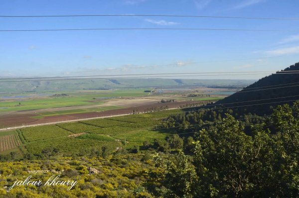  | موسوعة القرى الفلسطينية